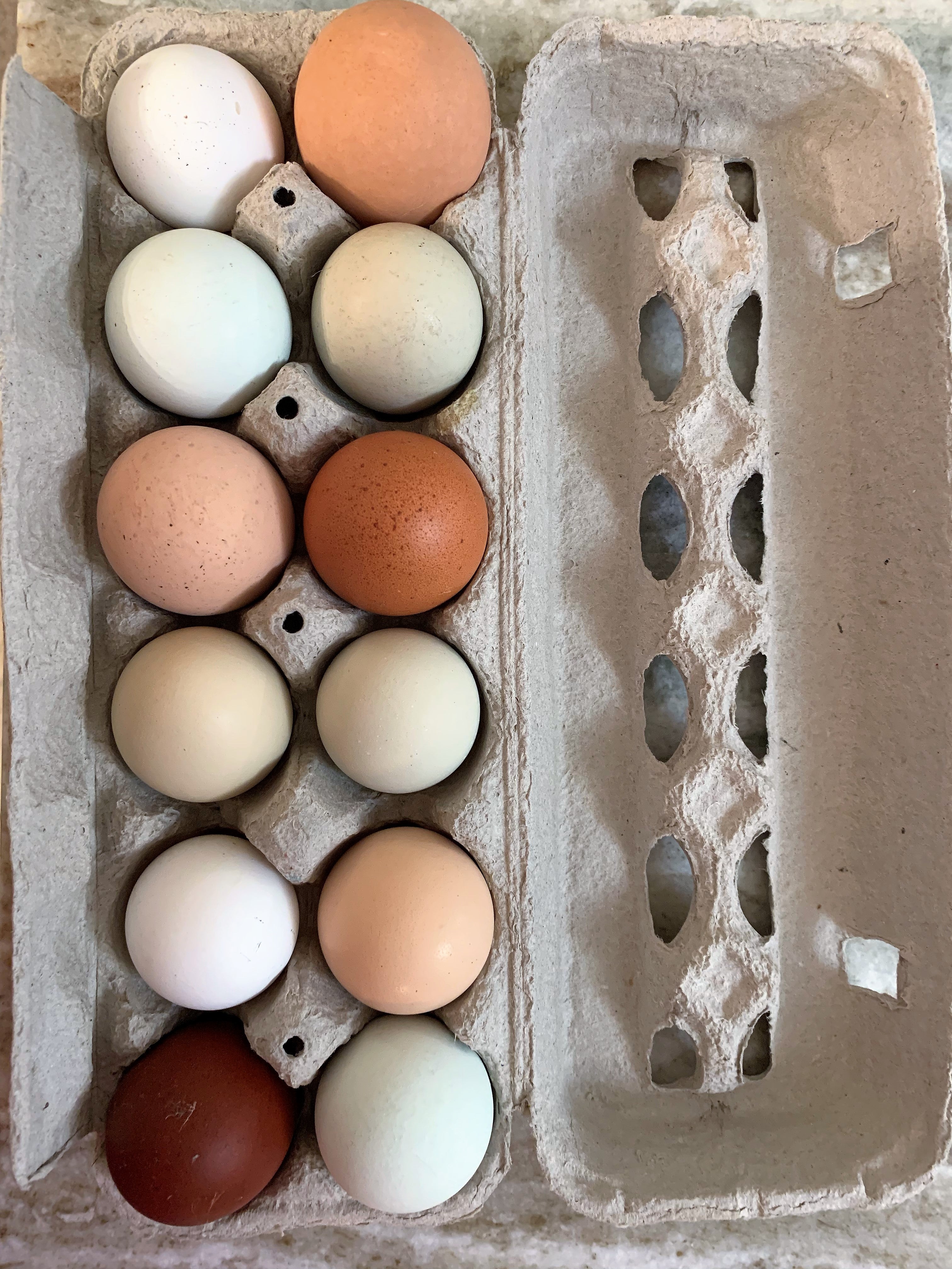 Fresh Pastured Eggs (1 dozen)