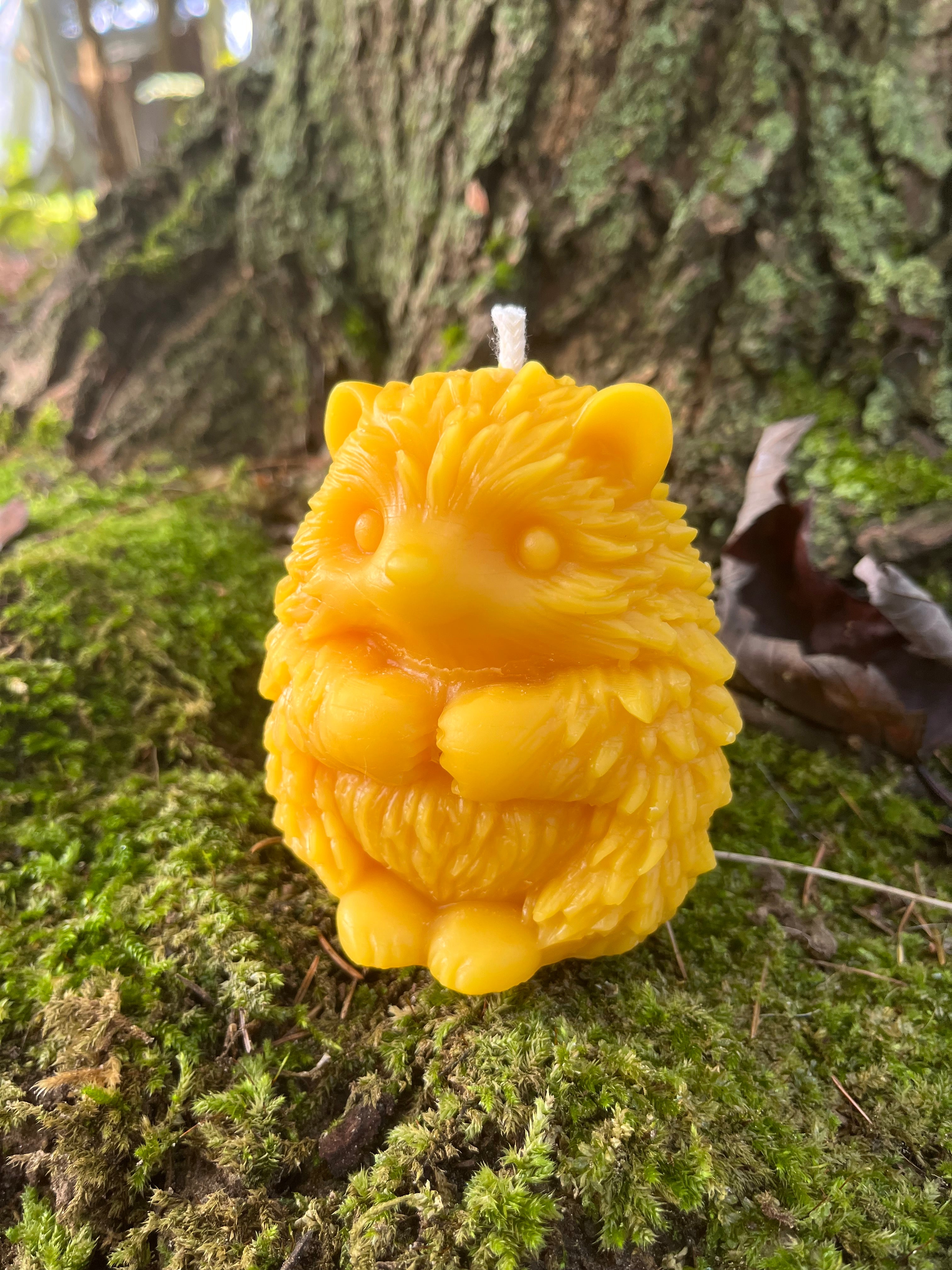 Animal Beeswax Candles
