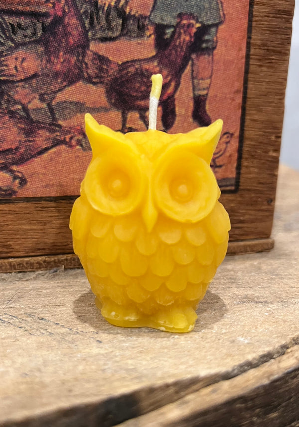 Owl Votive Beeswax Candles