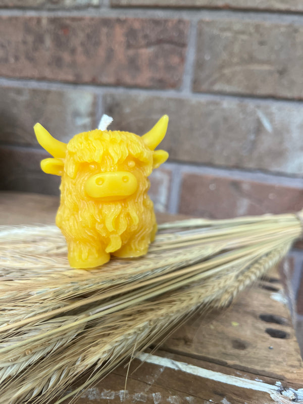 Animal Beeswax Candles