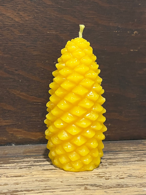 Pine Cone Beeswax Candles