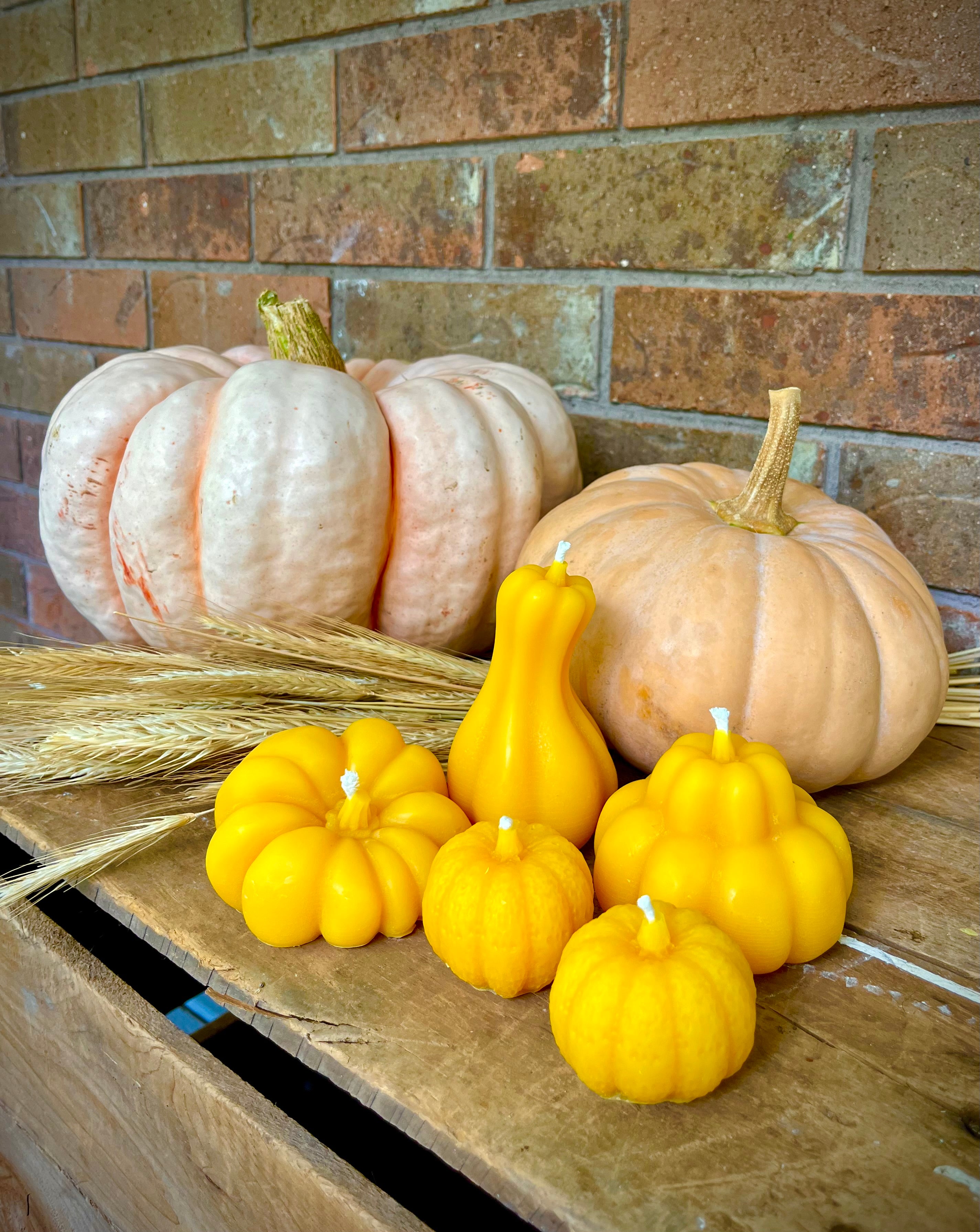 Pumpkin Beeswax Candles