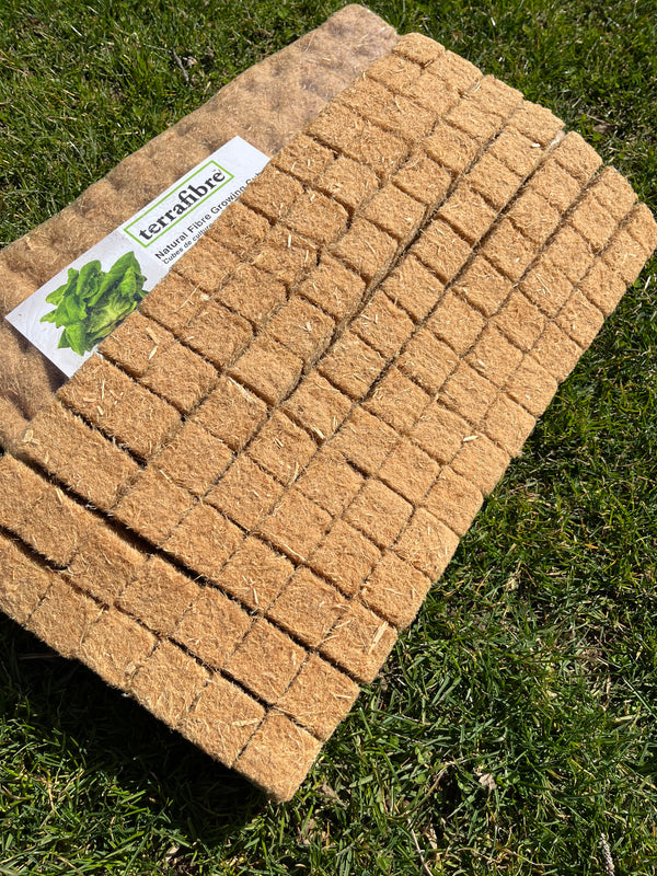 Hemp Growing Cubes by TerraFibre