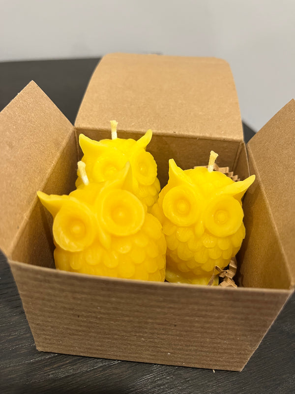Owl Votive Beeswax Candles