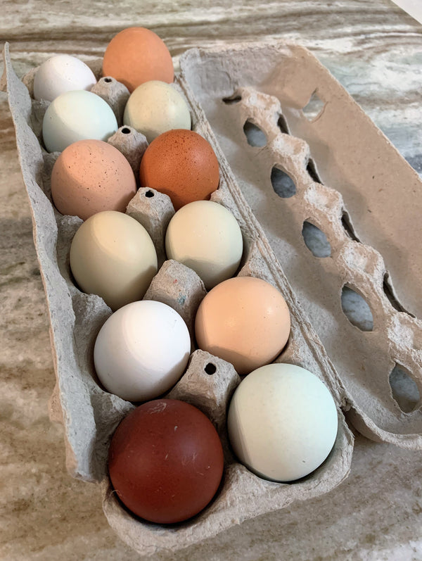 Fresh Pastured Eggs (1 dozen) - FARM PICK UP ONLY
