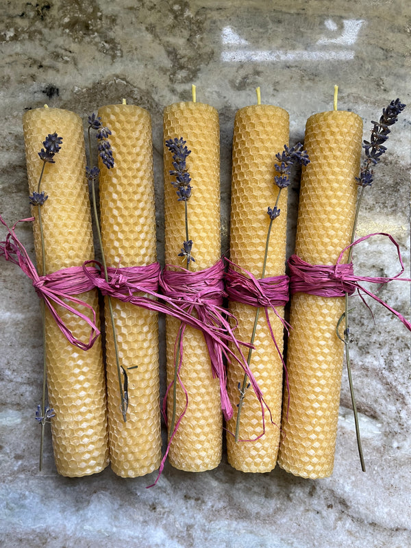 Hand Rolled Roman (2 pack)